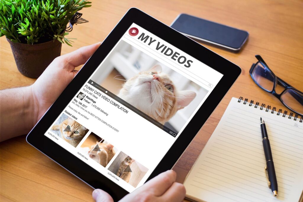 Video of cat on tablet